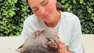 Raffie, star canine des réseaux sociaux, s’est éteinte brusquement à Noël