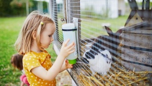 Mon lapin nain peut-il vivre dehors ?