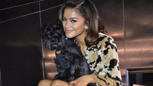 Cette méga star est une alliée discrète des animaux depuis de nombreuses années