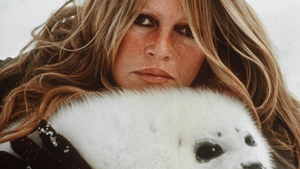Brigitte Bardot nous quitte après une vie aux côtés des animaux