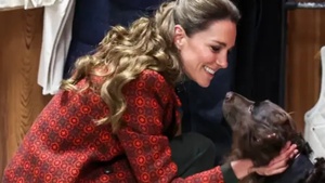 Quand Kate Middleton tombe sous le charme d'un cocker anglais