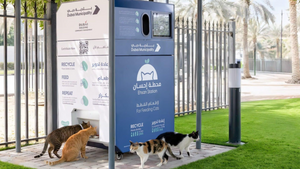 Dubaï nourrit les animaux errants et abandonnés... grâce à l'IA !