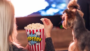 Lancement des “Oscars” pour animaux à Hollywood : une initiative qui interroge