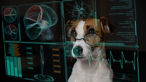 Comment détecter les causes d’épilepsie idiopathique chez le chat ou le chien ?