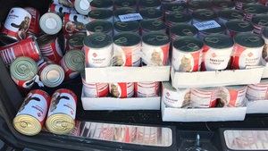 Distribution de 157 boites de pâtées pour chat