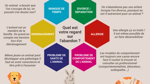 Avant d’adopter un animal : connaissez-vous les principales causes d’abandon ?