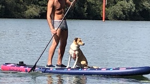 Les bénéfices du stand up paddle avec son chien