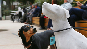 Des statues de chiens à Barcelone pour lutter contre l’abandon : Une bonne idée ?