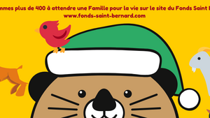 A Noël n’achetez pas Adoptez ! 