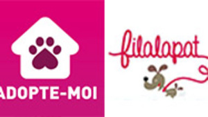 Zoom sur deux applications dédiées aux animaux 