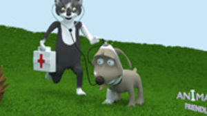 Région Rhône alpes : animaux trouvés, urgences vétérinaires, que faire ?