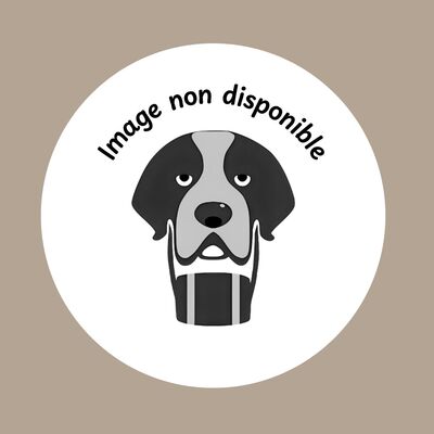 Logo association Les Pattounes du Coeur - Montpellier (34)