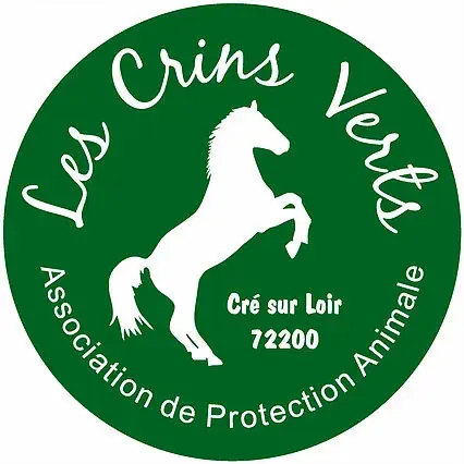 T&eacute;moignage de l&rsquo;association "Le Refuge les Crins Verts"