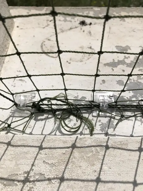 DIY : pose d’un filet de protection renforcé pour fenêtre