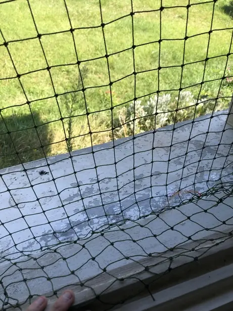 DIY : pose d’un filet de protection renforcé pour fenêtre