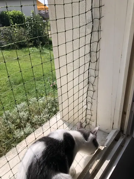 DIY : pose d’un filet de protection renforcé pour fenêtre