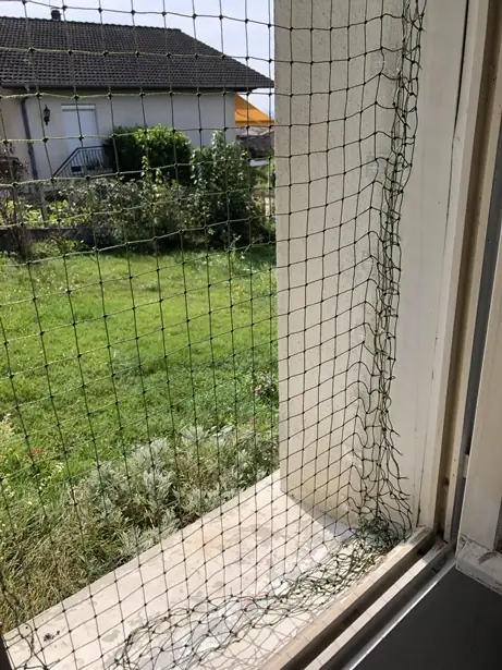 DIY : pose d’un filet de protection renforcé pour fenêtre