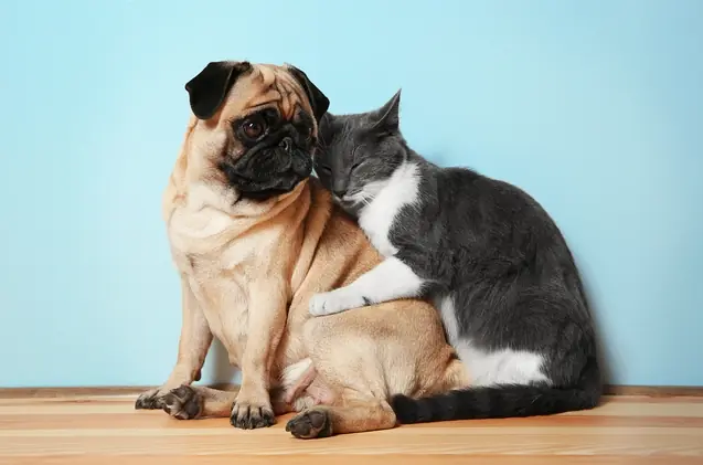 Bilan 2017 des actions du Fonds Saint Bernard