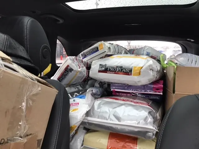 Collecte nourritures chiens / chats