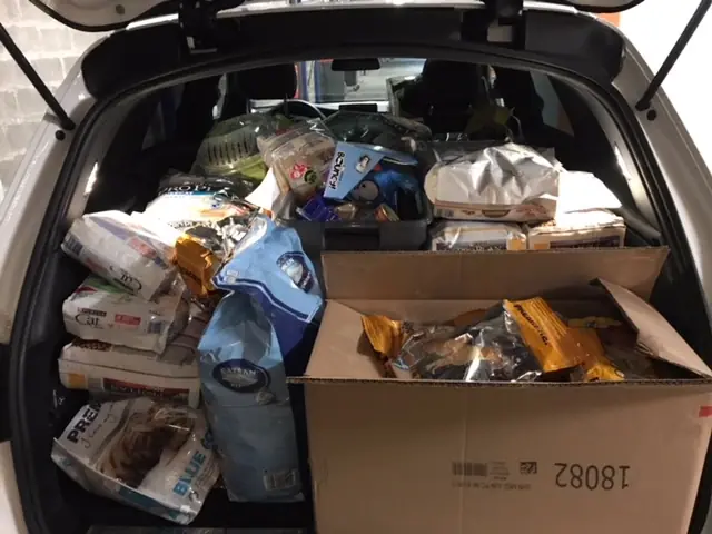 Collecte nourritures chiens / chats