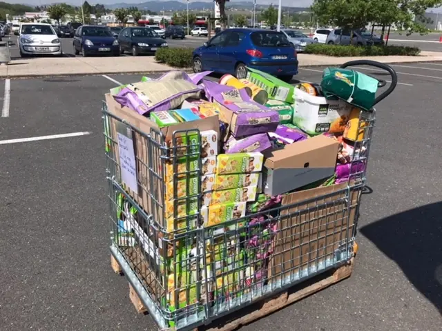 Notre présidente du Fonds Saint Bernard une nouvelle fois en action chez notre partenaire !