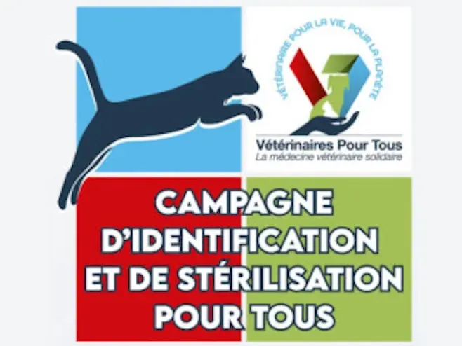 Comment bénéficier de la stérilisation gratuite de son animal ?