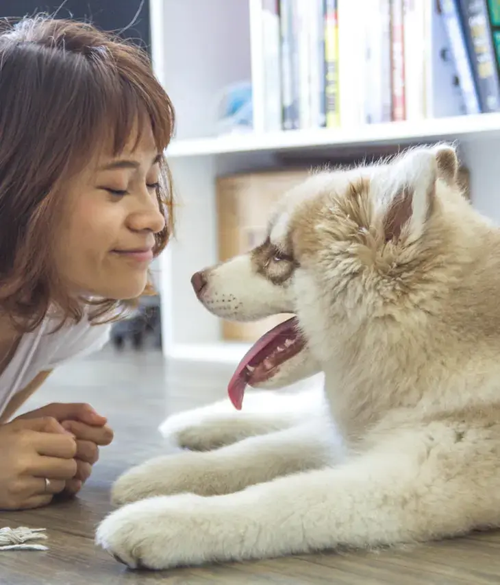 Quand et comment éduquer son chien ?