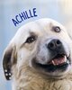 Achille