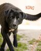 Kong