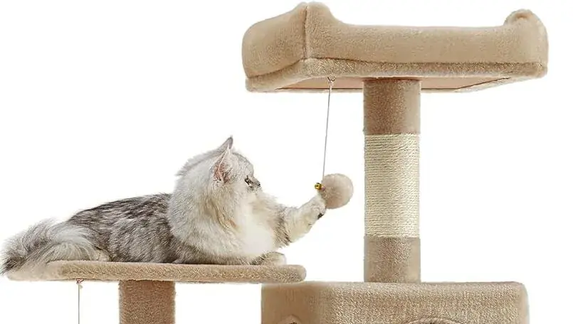 arbre &agrave; chat amazon promo