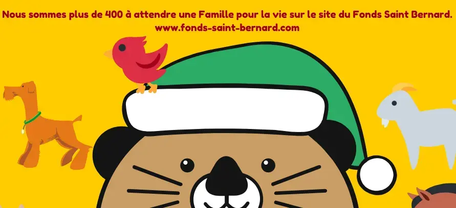 A Noël n’achetez pas Adoptez ! 