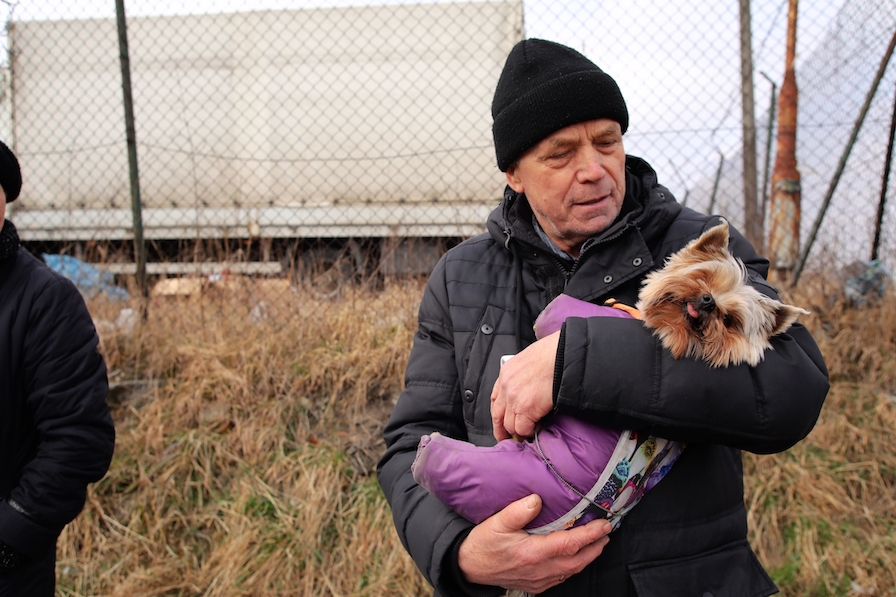 Comment aider les animaux en Ukraine