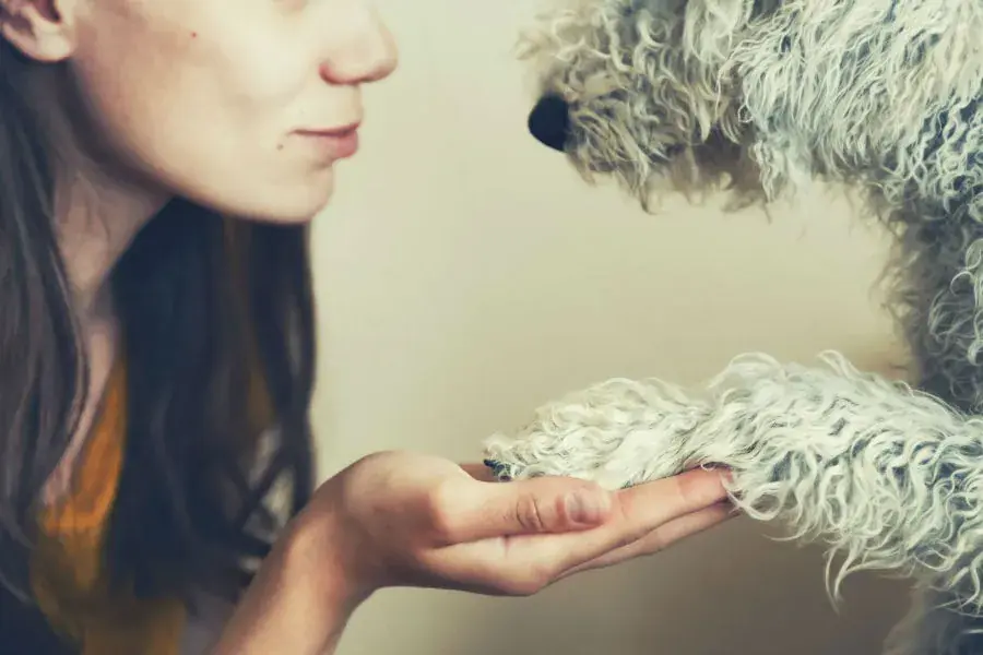 Teaming comment ça marche ?