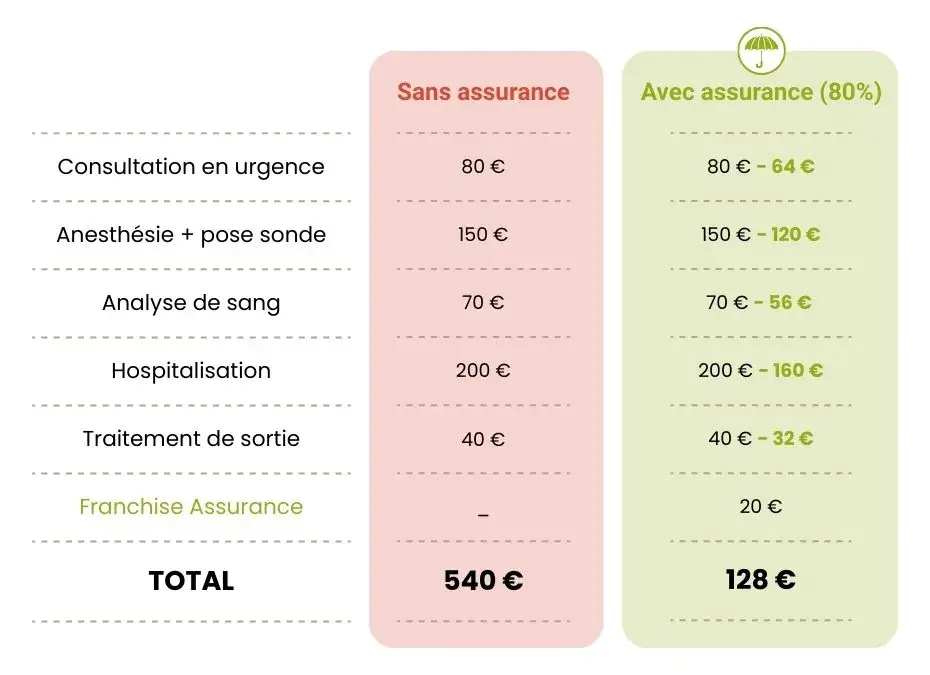 exemple remboursement assurance chat