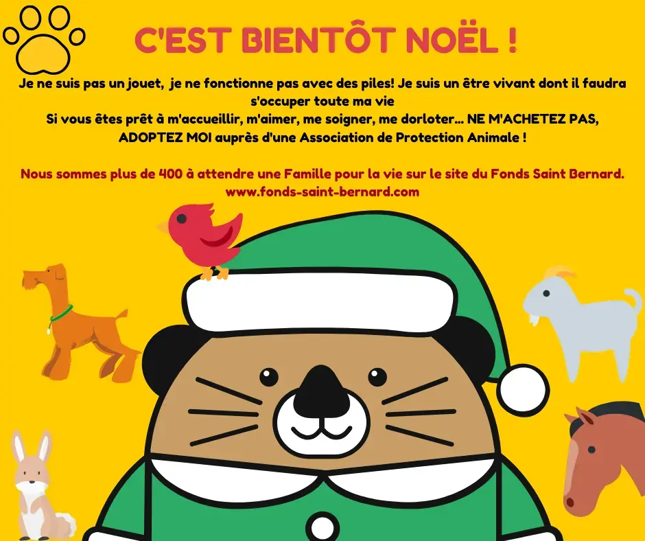 A Noël n’achetez pas Adoptez ! 