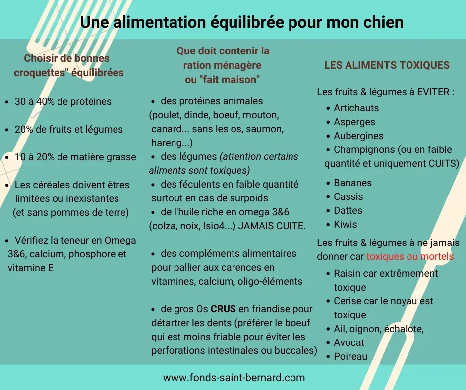 La Myélopathie dégénérative chez le chat ou le chien
