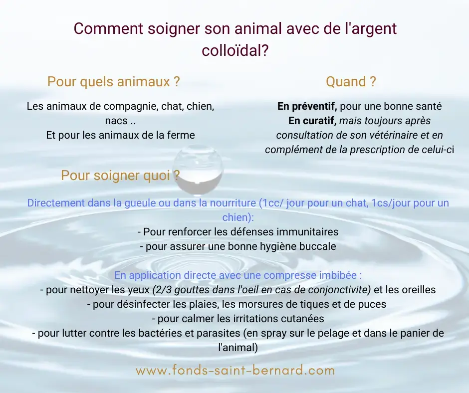 L’argent colloïdal pour soigner son animal