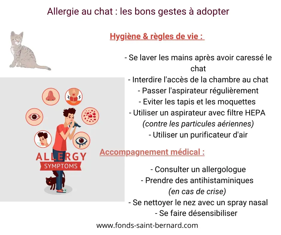 Avoir un chat quand on est allergique : quelles solutions ?