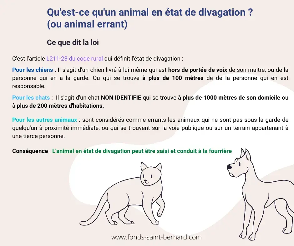 Qu’est-ce qu’un animal en état de divagation?