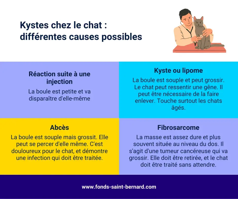 Mon chat a un kyste, faut-il s’inquiéter?