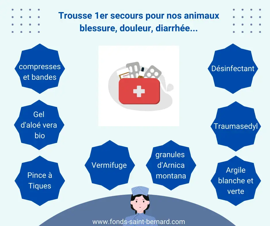 La trousse de premiers secours pour vos animaux