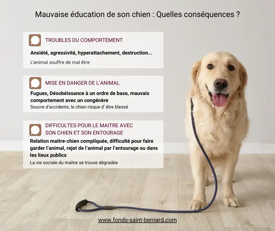 Mauvaise éducation de son chien : quelles conséquences ?