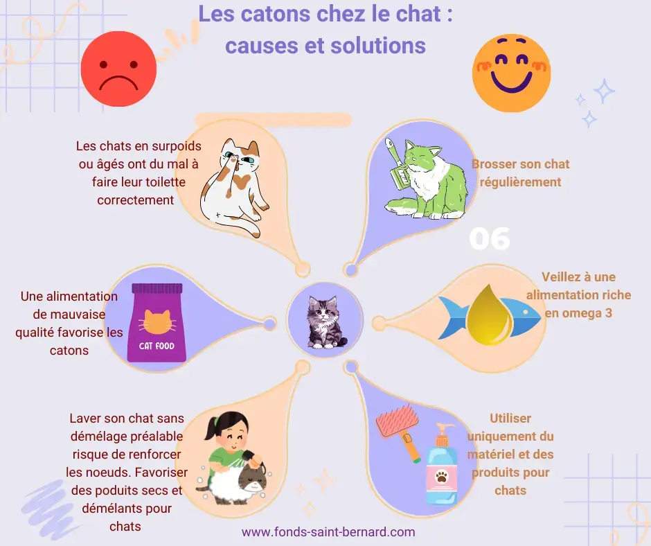 Mon chat a des catons ! Comment démêler ses poils ?