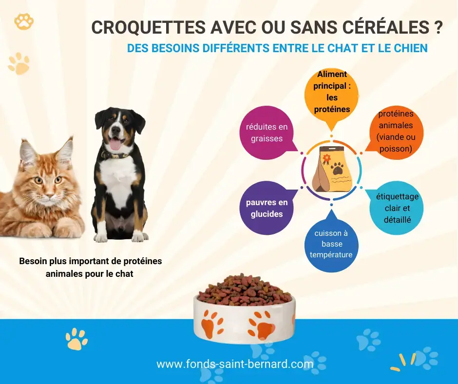 Croquettes avec ou sans céréales pour chat et chien : Que choisir ?