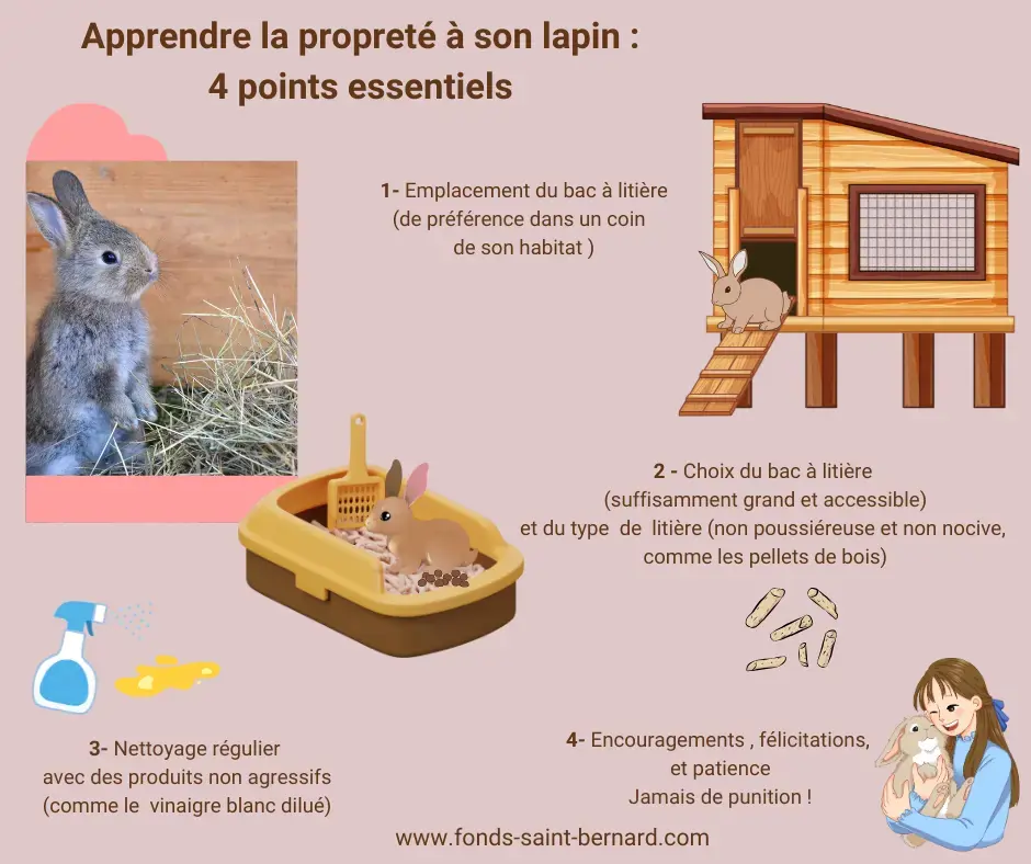 Comment apprendre la propreté à son lapin ?