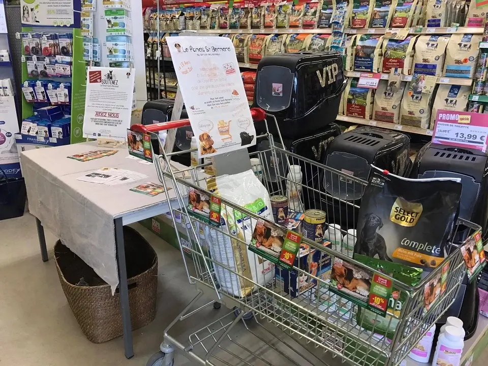 La vidéo des actions du Fonds Saint Bernard