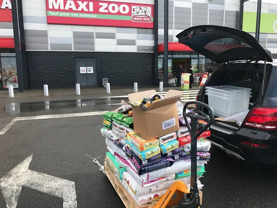 05/04/17 - Distribution de nourriture chien