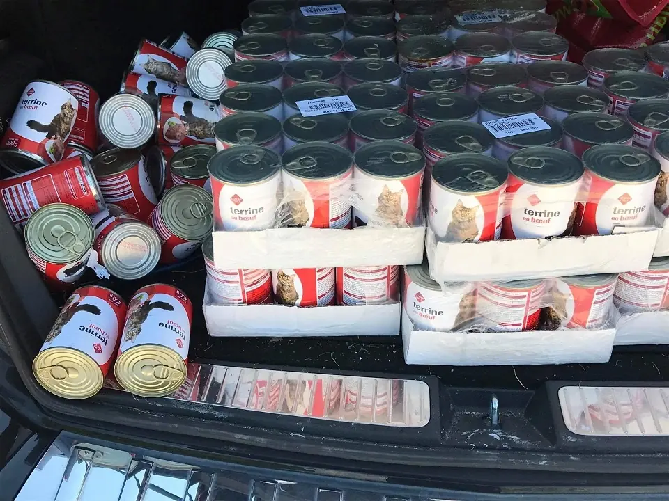 Distribution de 157 boites de pâtées pour chat