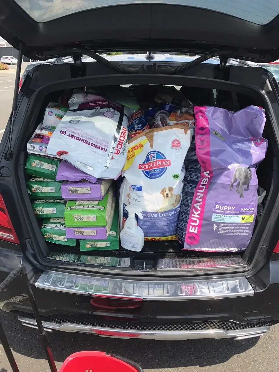 Collecte de 250 Kg de croquettes pour chiens et chiots