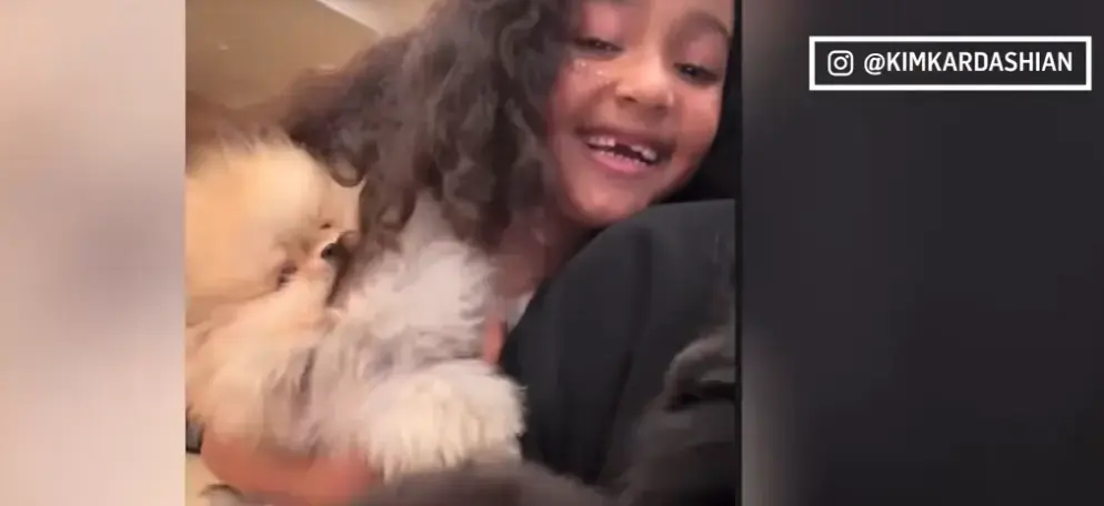 extrait d'une story Instagram de la fille de Kim Kardashian avec son chiot